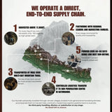 Infographic about a direct supply chain for a product, with text and graphics on a white background.