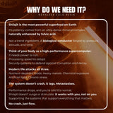 DROP I: NEPALESE GOLD SHILAJIT Earthlete